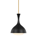 Lucerne Pendant - Burnished Brass / Midnight Black