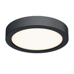 Delta Color Select Round Outdoor Wall / Ceiling Light - Black / Frosted