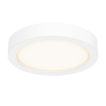 Delta Color Select Round Outdoor Wall / Ceiling Light - White / Frosted