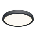 Delta Color Select Round Outdoor Wall / Ceiling Light - Black / Frosted