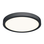 Delta Color Select Round Outdoor Wall / Ceiling Light - Black / Frosted
