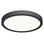 Delta Color Select Round Outdoor Wall / Ceiling Light - Black / Frosted