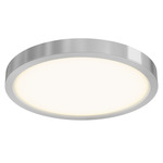 Delta Color Select Round Outdoor Wall / Ceiling Light - Satin Nickel / Frosted