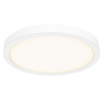 Delta Color Select Round Outdoor Wall / Ceiling Light - White / Frosted