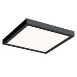 Delta Color Select Square Outdoor Ceiling Light - Black