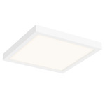 Delta Color Select Square Outdoor Ceiling Light - White