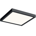 Delta Color Select Square Outdoor Ceiling Light - Black