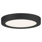 Outskirt Flush Mount Ceiling Light - Earth Black / White