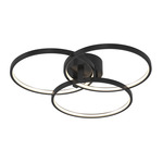 Orion Ceiling Light Fixture - Black