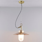 Well Visor Indoor / Outdoor Pendant - Brass / Frosted