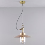 Well Visor Indoor / Outdoor Pendant - Brass / Clear