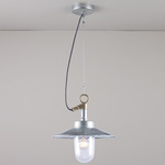 Well Visor Indoor / Outdoor Pendant - Galvanized / Clear