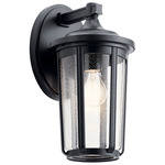 Fairfield Outdoor Wall Sconce - Black / Clear Seeded
