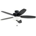 Renew Select Ceiling Fan with Light - Satin Black / Satin Black / Silver