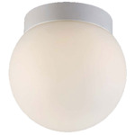 Niveous Outdoor Wall / Ceiling Light - White / White
