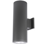 Tube 8IN Architectural Up or Down Beam Wall Light - Graphite / Clear