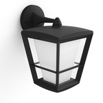 Econic Downward Smart Outdoor Wall Sconce - Black