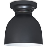 Southern Living Pantry Ceiling Light - Oil Rubbed Bronze / Oil Rubbed Bronze
