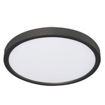 Edge Color-Select Ceiling Light - Black / White Acrylic