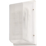 TPUW Outdoor Wall Sconce - White / Clear