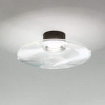 Desideria Wall/Ceiling Lamp - Wrinkled Matte Black / Transparent