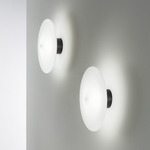Desideria Wall/Ceiling Lamp - Wrinkled Matte Black / Satin