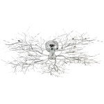 Autumn Wall / Ceiling Light - Chrome