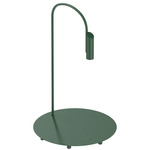 Caule Indoor/Outdoor Floor Lamp - Forest Green