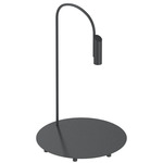 Caule Indoor/Outdoor Floor Lamp - Black