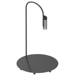 Caule Indoor/Outdoor Floor Lamp - Black