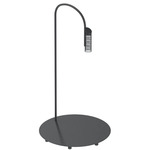 Caule Indoor/Outdoor Floor Lamp - Black