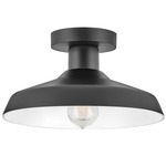 Forge Outdoor Ceiling Light - Black