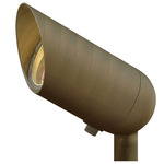 Hardy Island 12V MR16 Spot Light - Matte Bronze / Clear