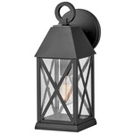 Briar Outdoor Wall Sconce - Museum Black / Clear Seedy