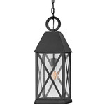 Briar Outdoor Pendant - Museum Black / Clear Seedy