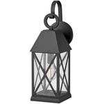 Briar Outdoor Hanging Wall Light - Museum Black / Clear Seedy