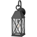Briar Outdoor Hanging Wall Light - Museum Black / Clear Seedy