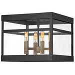 Porter Outdoor Ceiling Light - Black / Clear