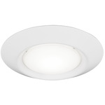 Traverse Ceiling Light - White / White