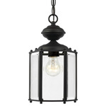 Classico Outdoor Convertible Pendant - Black / Clear