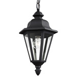 Brentwood Outdoor Pendant - Black / Clear