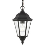 Bakersville Outdoor Pendant - Black / Clear