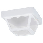Signature 7567/9 Outdoor Ceiling Light Fixture - White / Clear