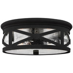 Lakeview Ceiling Light - Black / Clear Seeded