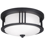 Crowell Outdoor Ceiling Light - Black / Satin Etched