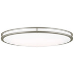 Mahone Oval Wall / Ceiling Light - Painted Brushed Nickel / White