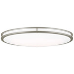 Mahone Oval Wall / Ceiling Light - Painted Brushed Nickel / White