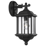 Kent Clear Outdoor Wall Light - Black / Clear