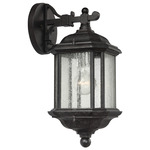 Kent Clear Outdoor Wall Light - Oxford Bronze / Clear Seeded