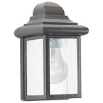 Mullberry Hill Clear Outdoor Wall Light - Bronze / Clear